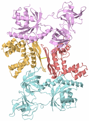 Image Biological Unit 2