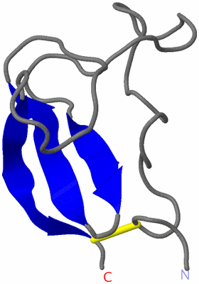 Image NMR Structure - model 1