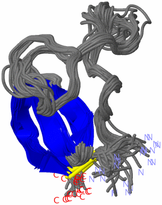 Image NMR Structure - all models