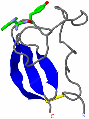 Image NMR Structure - model 1, sites