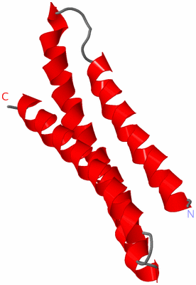 Image NMR Structure - model 1