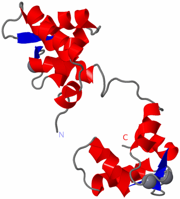 Image NMR Structure - model 1