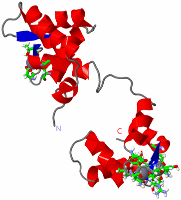 Image NMR Structure - model 1, sites