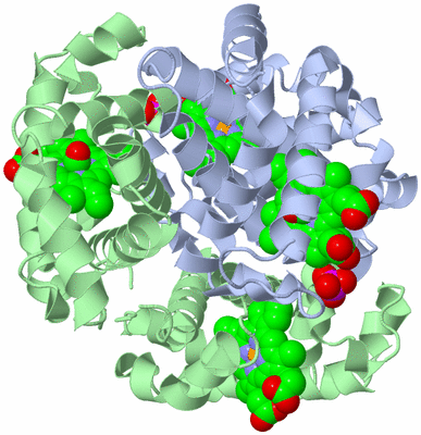 Image Biological Unit 1