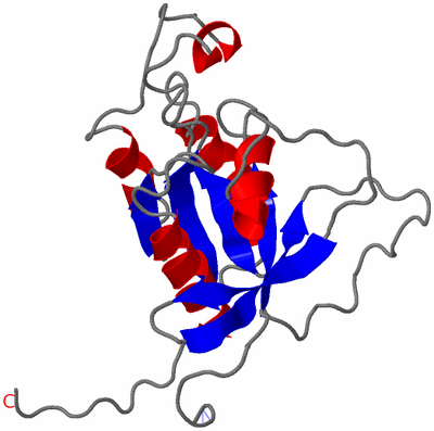 Image NMR Structure - model 1