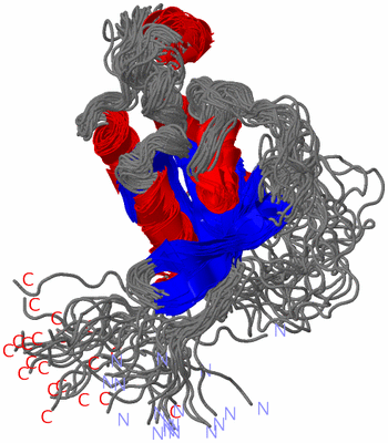 Image NMR Structure - all models