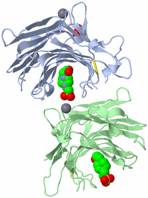 Image Asymmetric Unit