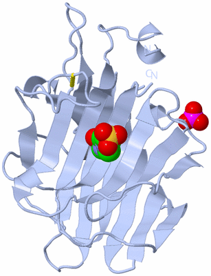 Image Biological Unit 1