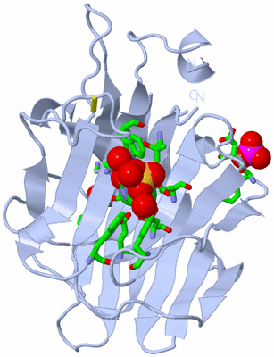 Image Biol. Unit 1 - sites