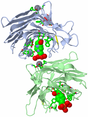 Image Asym. Unit - sites