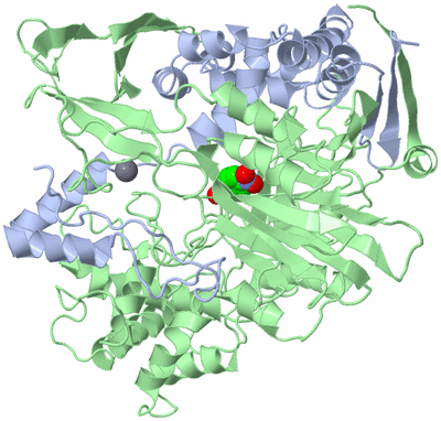 Image Asym./Biol. Unit