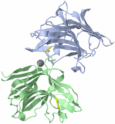 Image Asymmetric Unit