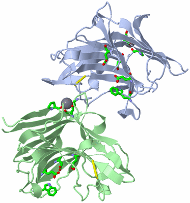 Image Asym. Unit - sites
