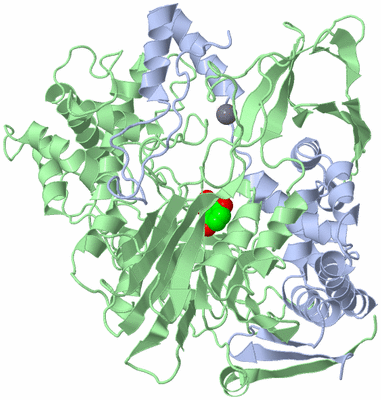 Image Asym./Biol. Unit