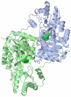 Image Asym./Biol. Unit