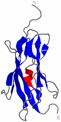 Image NMR Structure - model 1