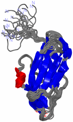 Image NMR Structure - all models