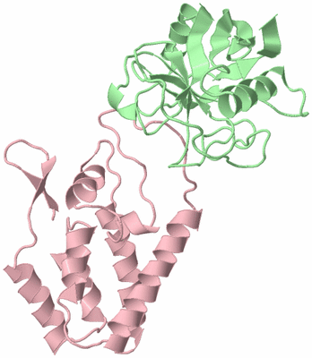 Image Biological Unit 2