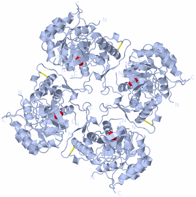 Image Biological Unit 1