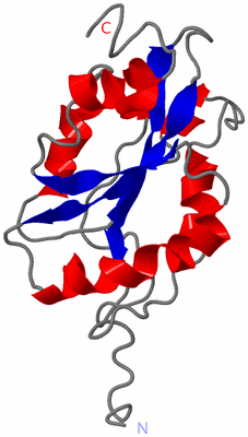 Image NMR Structure - model 1