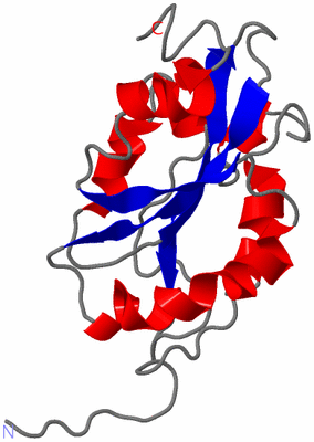 Image NMR Structure - model 1