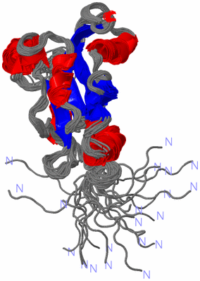 Image NMR Structure - all models