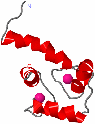 Image NMR Structure - model 1