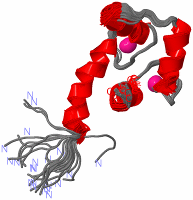 Image NMR Structure - all models