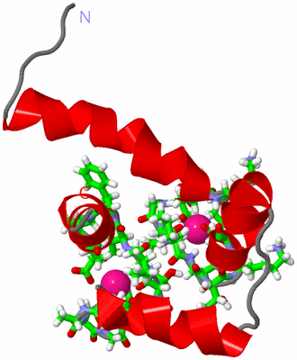 Image NMR Structure - model 1, sites