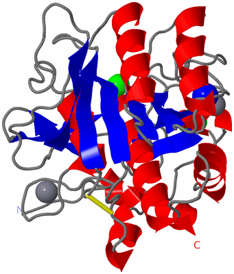 Image Asym./Biol. Unit