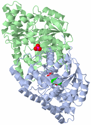 Image Asym./Biol. Unit