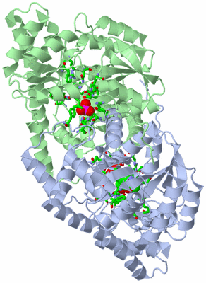 Image Asym./Biol. Unit - sites