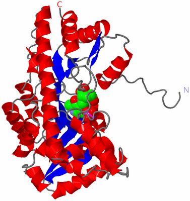 Image Asymmetric Unit