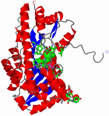 Image Asym. Unit - sites
