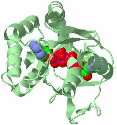 Image Biological Unit 2