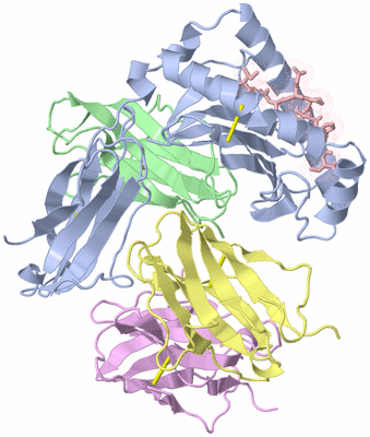 Image Asym./Biol. Unit