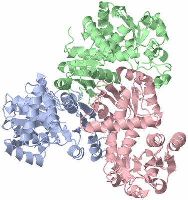 Image Asym./Biol. Unit