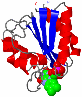 Image Asym./Biol. Unit