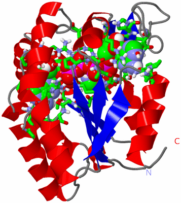 Image Asym./Biol. Unit - sites