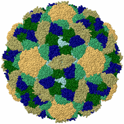 Image Biological Unit 1