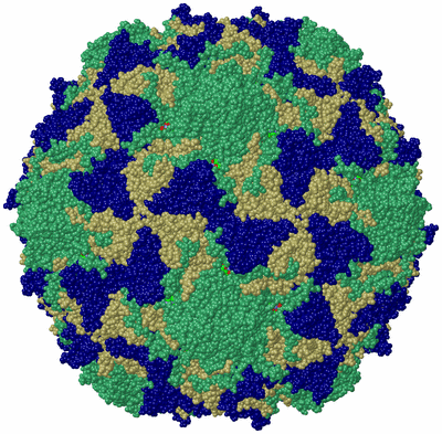 Image Biol. Unit 1 - sites