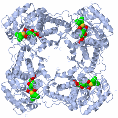 Image Biological Unit 1