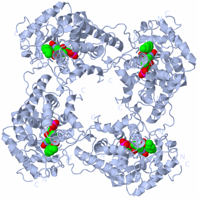 Image Biological Unit 1