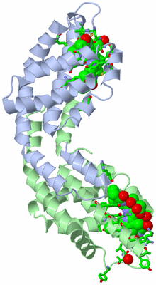 Image Asym. Unit - sites