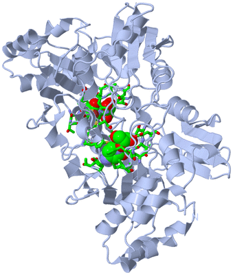 Image Biol. Unit 1 - sites