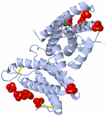 Image Biological Unit 1