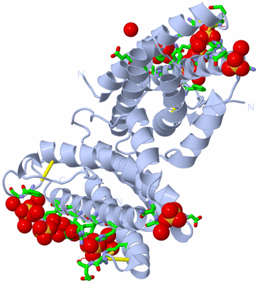 Image Biol. Unit 1 - sites