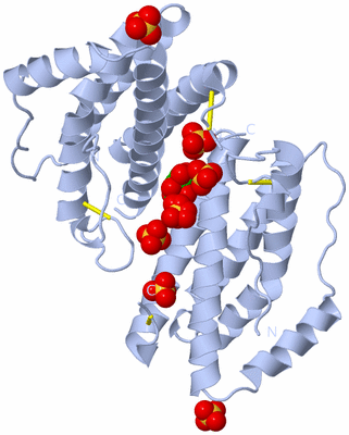 Image Biological Unit 2