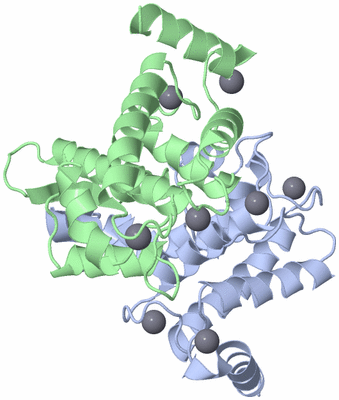 Image Asym./Biol. Unit