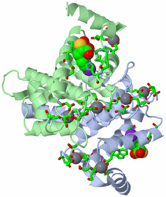 Image Asym./Biol. Unit - sites